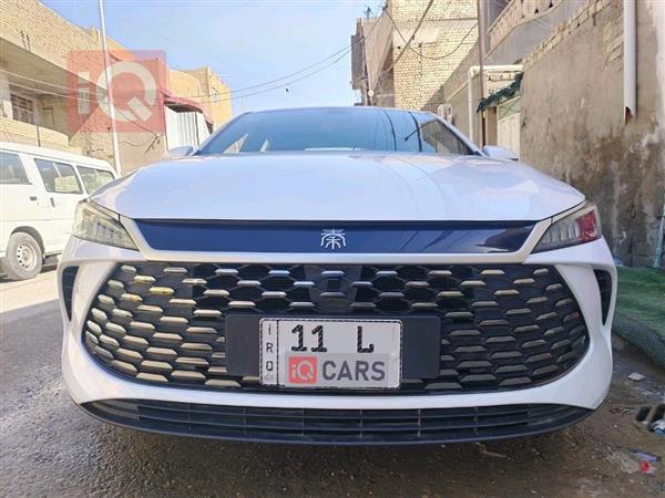 بي واي دي Qin Plus 2025 للبيع في العراق -  بغداد